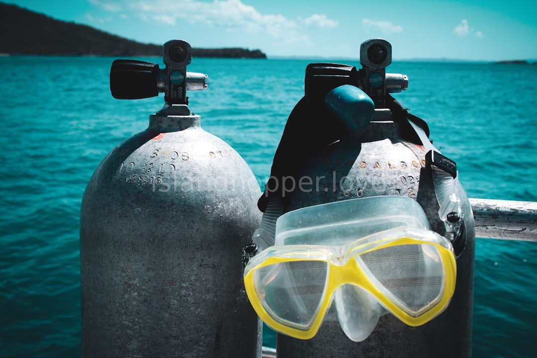 Underwater View