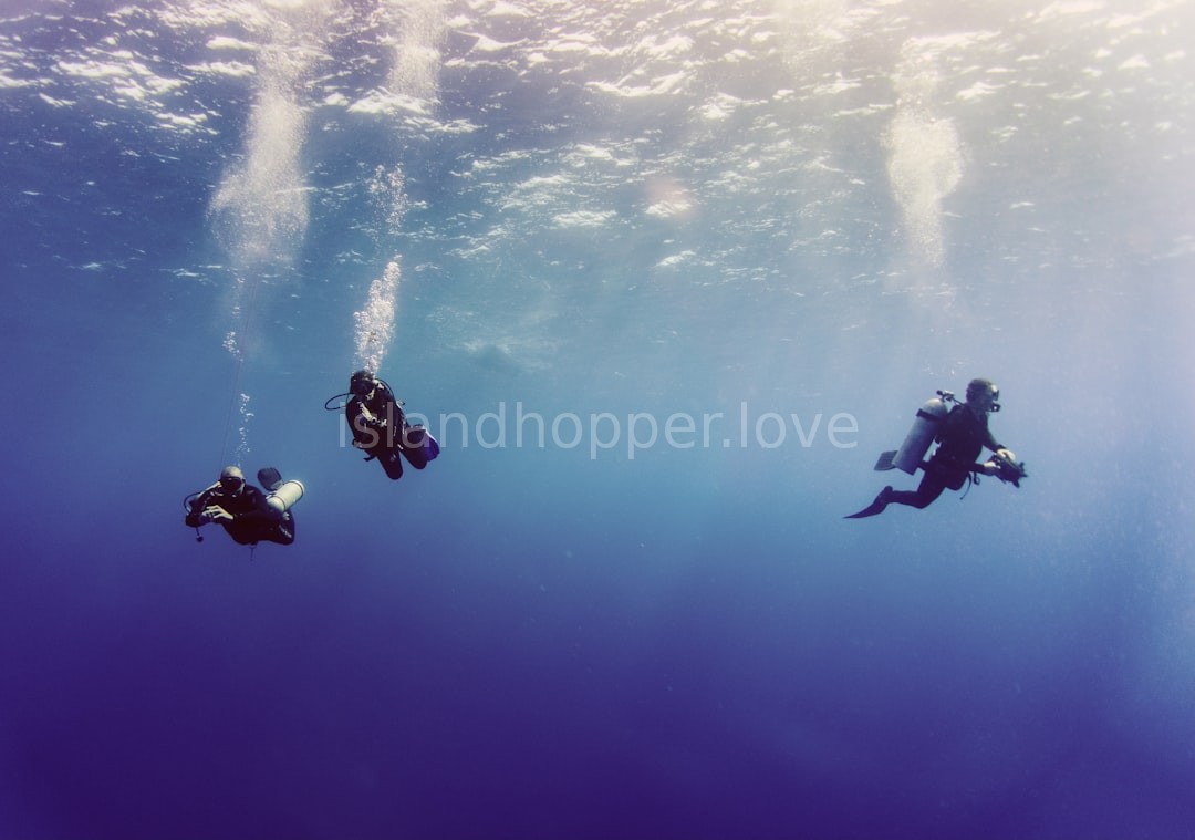 Dive Computer